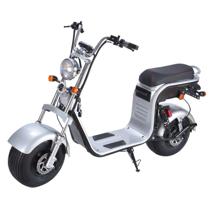 hr8Silver1 hr8Silver1