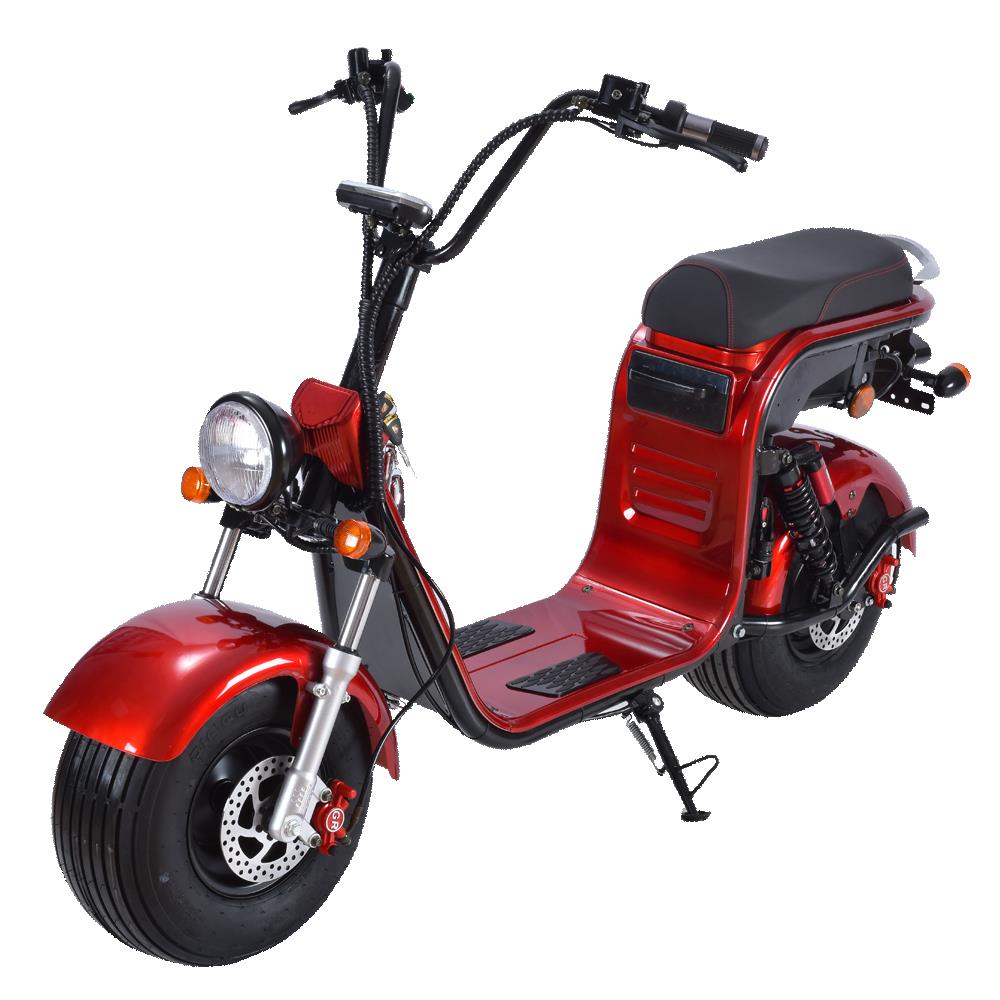 How should the winter electric scooter be maintained?