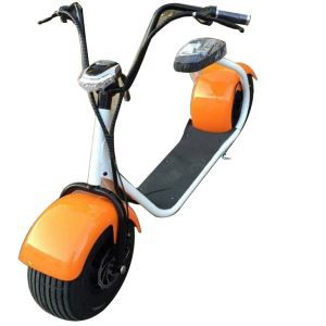 Fashion Electric Citycoco