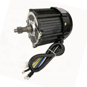 1000W BLDC Motor