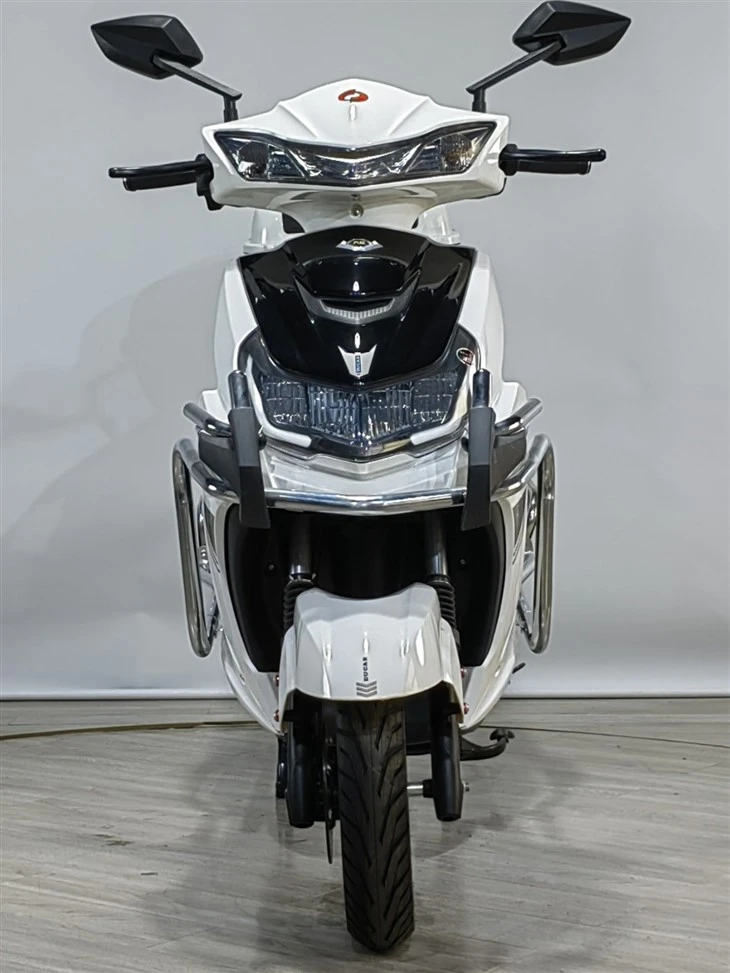 1000W Electric Motorcycle 1000W Electric Motorcycle